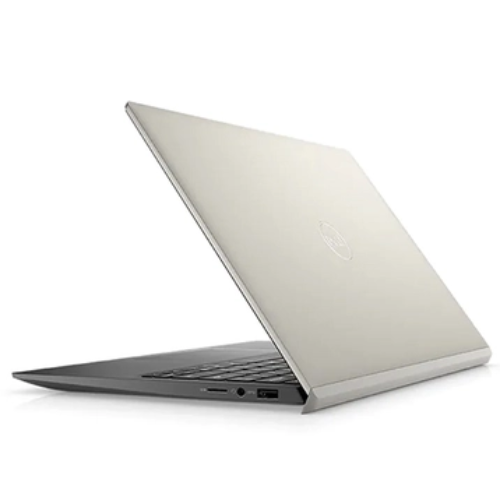 Dell™ Vostro 13 5301_C4VV92 Dell™ Vostro 13 5301 C4VV92